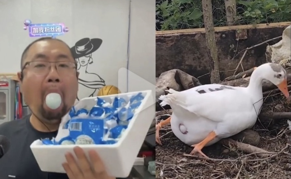 育评论员, 行辩解